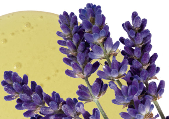 Aromas ideais para ajudar a relaxar