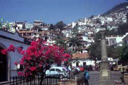 Aromaterapia