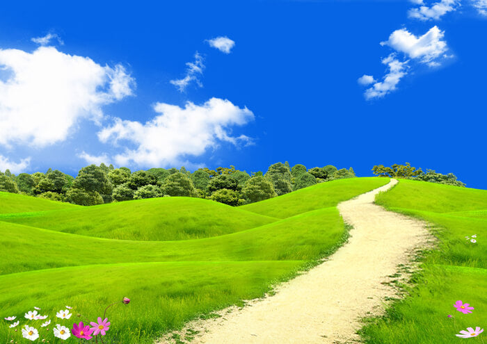 Perfume os ambientes com aromatizantes