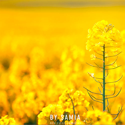 Um pouco do aroma das flores para sua casa e para você ficar mais bonita