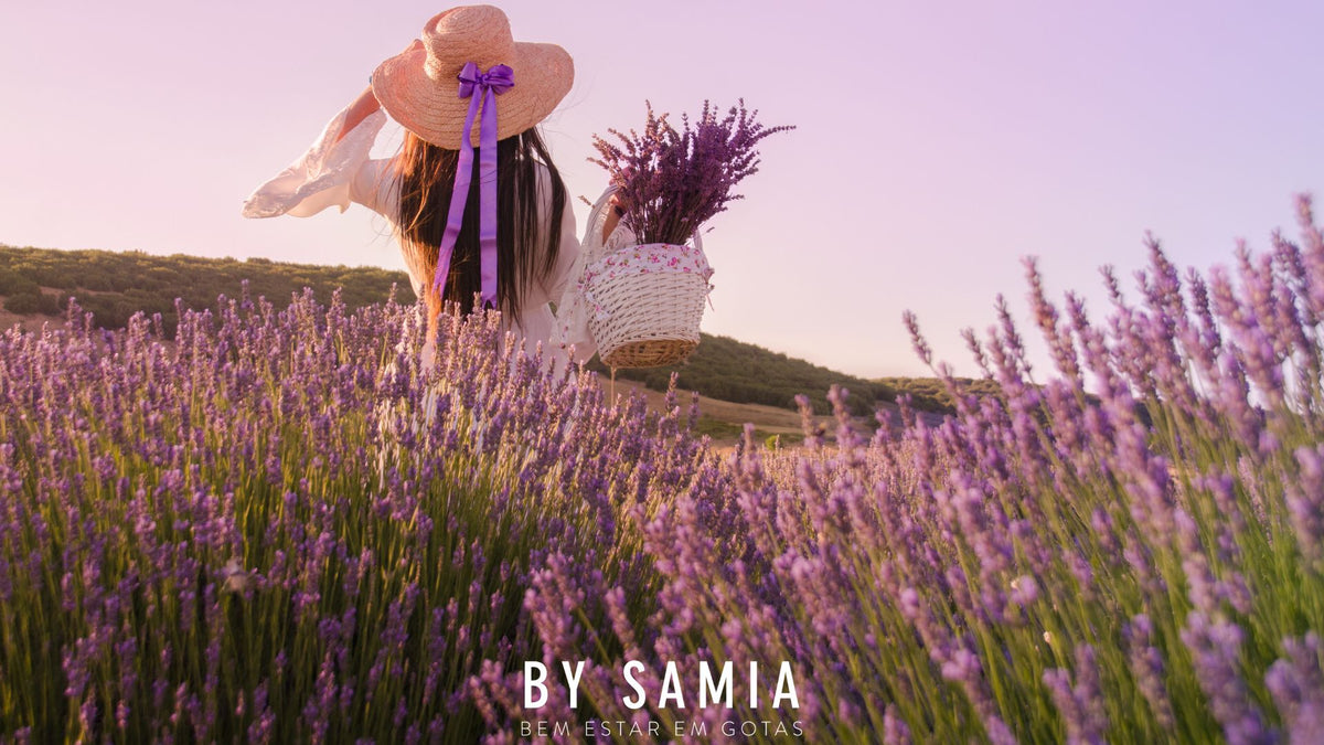 Óleo Essencial de Lavanda: Usos, benefícios e dicas práticas