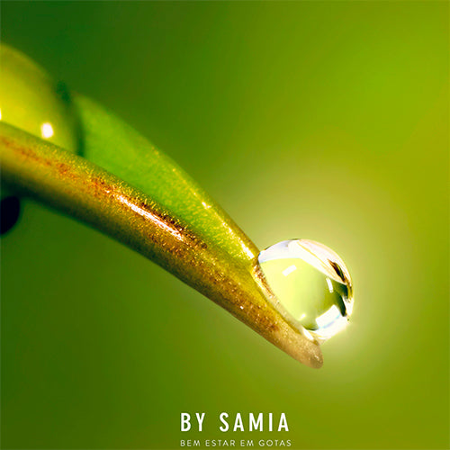 Homeopatia e Aromaterapia – São antagônicos?