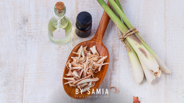 Sobre o Lemongrass - Óleo Bom e barato! Para nos auxiliar nesta fase