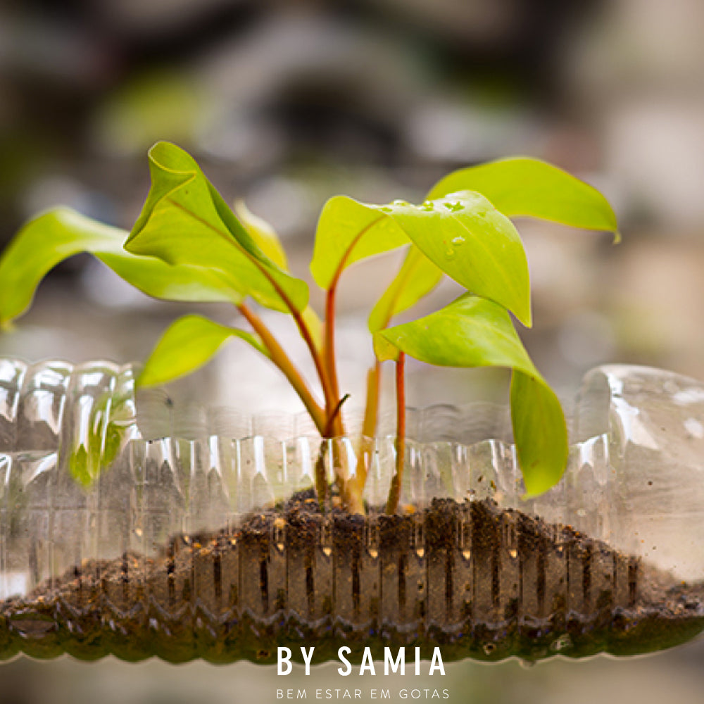 6 Iniciativas que vão inspirá-lo a reciclar