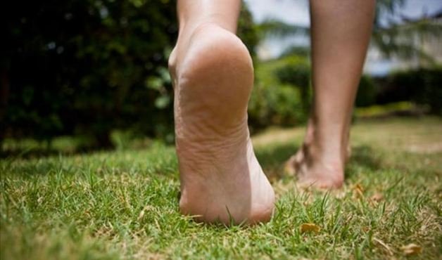 Use a natureza para combater o estresse