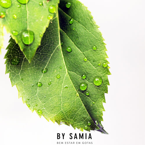Por que usar aromaterapia
