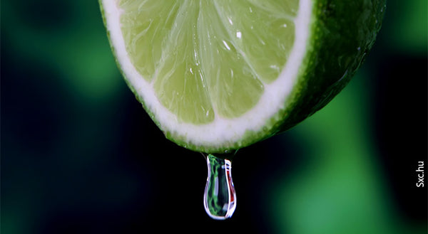 Use Óleos cítricos para a Imunidade de seu organismo e para desinfetar a casa