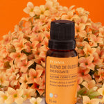 feet-Manteiga-para-os-pes-70g-spa-basics-by-samia-aromaterapia-fundo-colorido