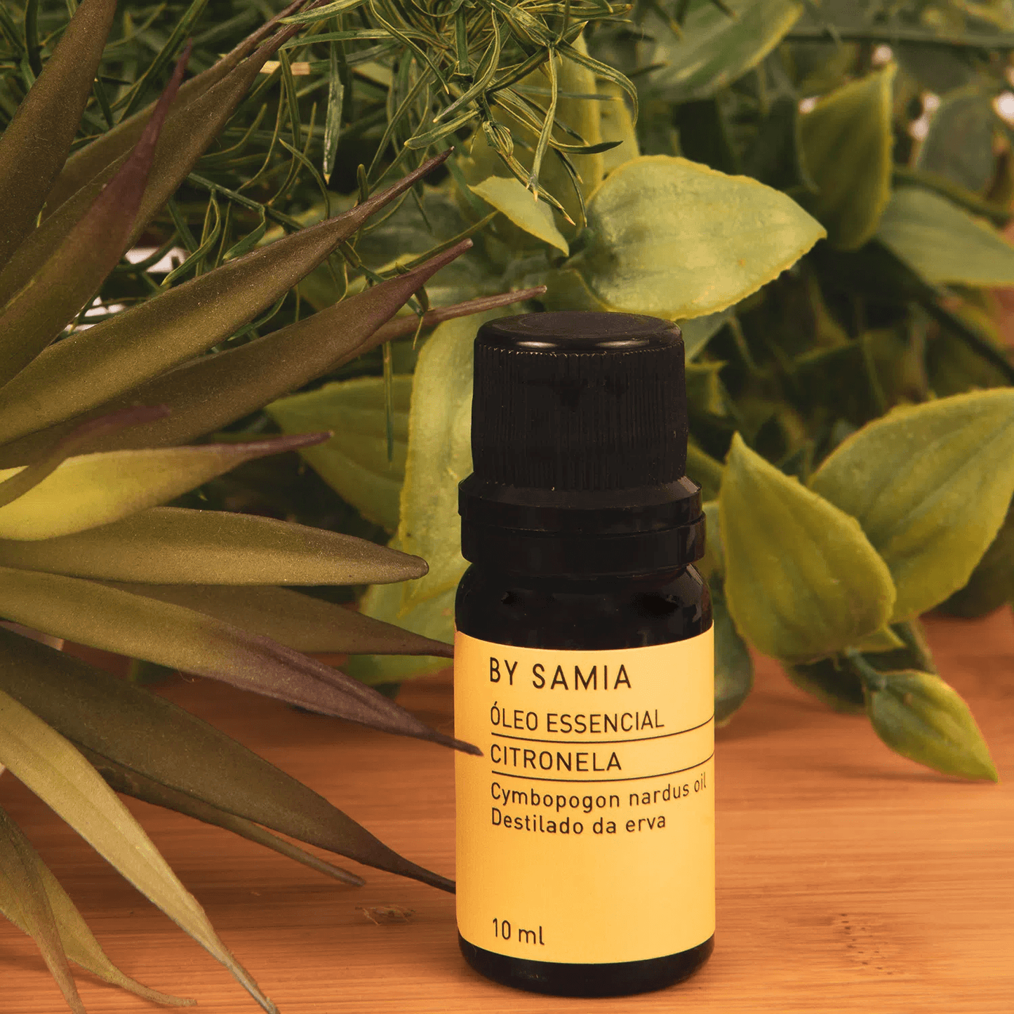 Óleo Essencial de Citronela de 10 ml