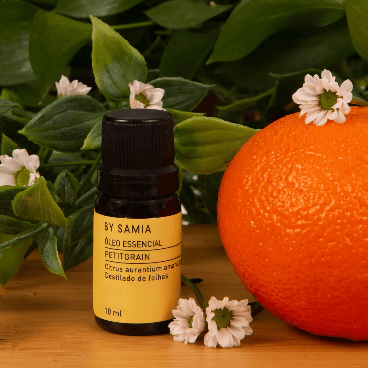 Óleo Essencial de Petitgrain 10 ml Brinde