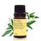 kit-laboratorio-do-aromaterapeuta-bysamia-aromaterapia